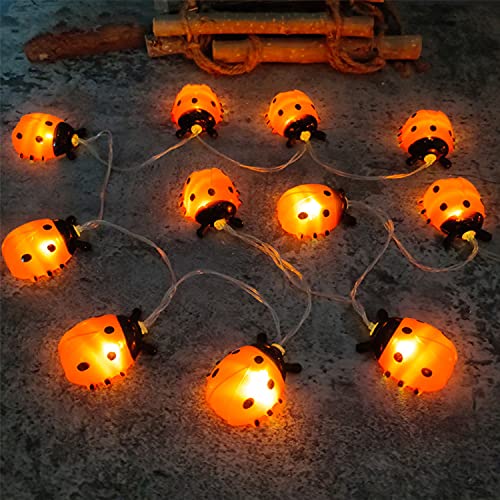 DINOWIN Lichterkette Marienkäfer, LED Käfer Lichterkette Innen lichterketten für zimmer, Garten, Balkon, Party, Hof, Hochzeit (19,7FT 40LED, USB) von DINOWIN