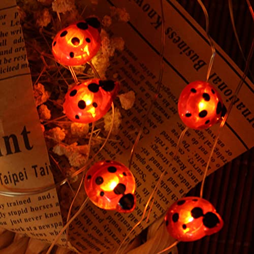 DINOWIN Marienkäfer Solar Lichterkette, Wasserdicht 20LED Marienkäfer Insekten-Lichterkette Käfer DIY Lichterkette Dekoration für Weihnachten, Ornament, Garten, Zaun, Terrasse, Hof DINOWIN Marienkäfer Solar Lichterkette, Wasserdicht 20LED Marienkäfer Insekten-Lichterkette Käfer DIY Lichterkette Dekoration für Weihnachten, Ornament, Garten, Zaun, Terrasse, Hof von DINOWIN