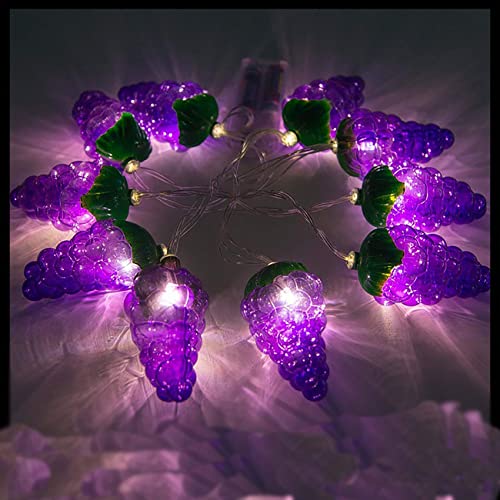 DINOWIN Obst Lichterkette 9.8ft 20 LED batteriebetrieben dekorative Lichter für Urlaub Weihnachten Hochzeit Party (Weintraube) von DINOWIN