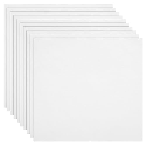 10 Weiße Baumwollstoff Stickstoff Quadrate Kunststoffgitter Stoff Sticken Leinenstoff Meterware Baumwoll Stickstoff Klassischer Aida Stoff Baumwollstoff für Stickereien Bekleidungshandwerk von DIVINA VITAE
