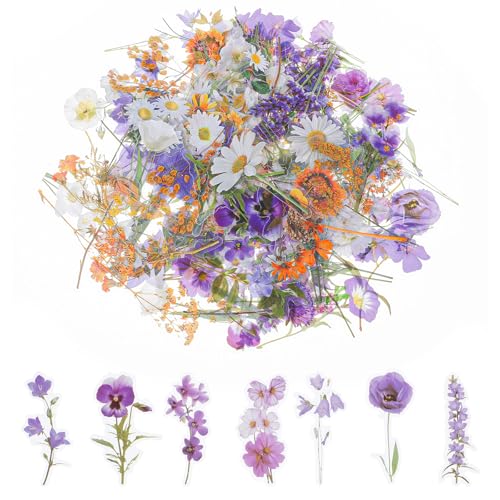 120 Stück Scrapbooking Sticker, Wasserfeste Blumen Sticker, Transparente PET Aufkleber Blumen, Aesthetic Stickers Vintage, Blumen zum Basteln für DIY Fahrrad, Fotoalbum, Journal, Scrapbook 120 Stück Scrapbooking Sticker, Wasserfeste Blumen Sticker, Transparente PET Aufkleber Blumen, Aesthetic Stickers Vintage, Blumen zum Basteln für DIY Fahrrad, Fotoalbum, Journal, Scrapbook von DIVINA VITAE