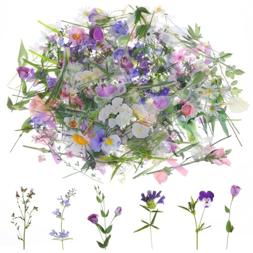 120 Stück Scrapbooking Sticker, Wasserfeste Blumen Sticker, Transparente PET Aufkleber Blumen, Aesthetic Stickers Vintage, Blumen zum Basteln für DIY Fahrrad, Fotoalbum, Journal, Scrapbook 120 Stück Scrapbooking Sticker, Wasserfeste Blumen Sticker, Transparente PET Aufkleber Blumen, Aesthetic Stickers Vintage, Blumen zum Basteln für DIY Fahrrad, Fotoalbum, Journal, Scrapbook von DIVINA VITAE