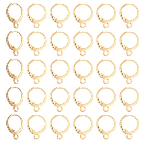 30 Stück Hebel Ohrhaken Set Französische Ohrring Haken Runde Edelstahl Earring Hooks Geeignet für Männer und Frauen DIY Ohrringe von DIVINA VITAE