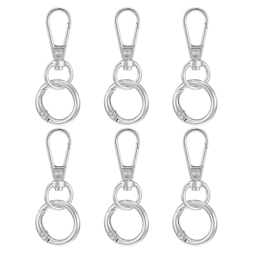 6 Stück Bnehmbare Karabinerhaken Mit Federschnallenclip Metall Karabiner Verschlüsse Schlüsselanhänger 360° Drehbare Schlüsselringring Für Diy Keychain Rucksack Kunsthandwerk（Silber） von DIVINA VITAE