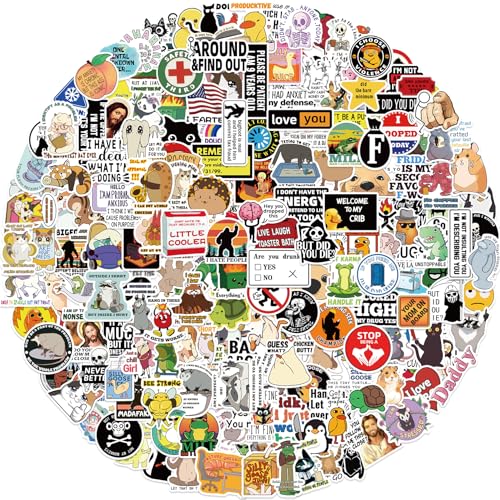200 Stück lustige Meme-Aufkleber, Classic Sarcastic Meme Stickers, wasserfeste Vinyl-Graffiti-Aufkleber für Laptop, Skateboard, Fahrrad, Jugendliche und Erwachsene von DIWSO