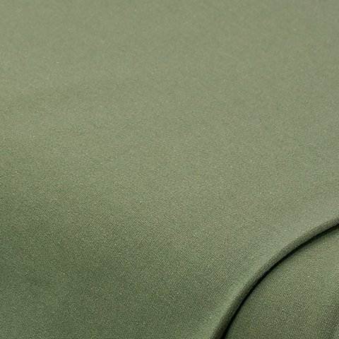 Bio-Baumwolljersey mit Elasthan, schilfgrün Bio-Baumwolljersey mit Elasthan, schilfgrün