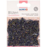 Blüten, getrocknet - Lavendelblüten Blüten, getrocknet - Lavendelblüten von GLOREX
