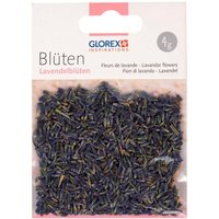 Blüten, getrocknet - Lavendelblüten von Violett