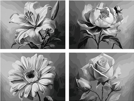 Blumenvielfalt (Quattro)