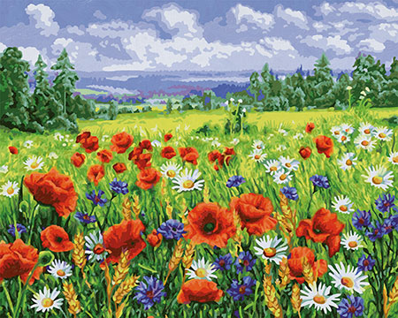 Blumenwiese Blumenwiese
