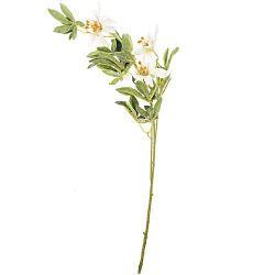 Clematis weiß 90cm 3 Blüten von idee. Creativmarkt