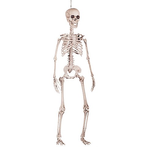 Deko-Aufhänger "Skelett", 90 cm