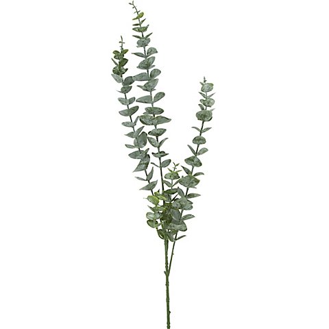 Eukalyptus-Zweig, 80 cm Eukalyptus-Zweig, 80 cm