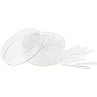 Glasstifte, Kristall, 12g - 19 mm Glasstifte, Kristall, 12g - 19 mm