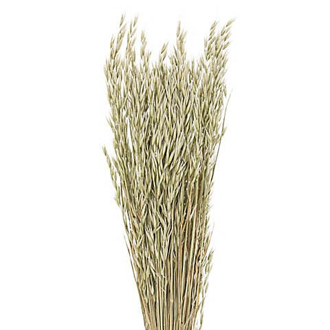 Haferbund, grün, 150 g Haferbund, grün, 150 g