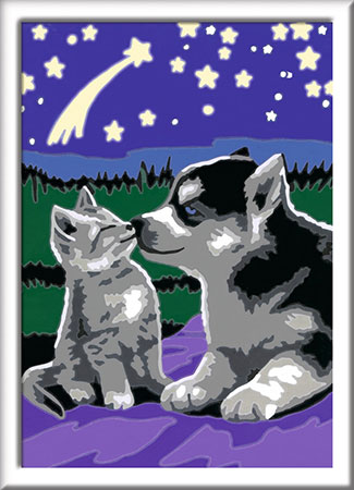 Hund und Katze Hund und Katze