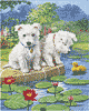 Hunde Hunde