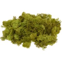 VBS Islandmoos, 100 g - Maigrün von Grün