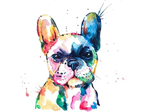 JNNPY Stickbilder Vorgedruckt Kreuzstich,11CT Kreuzstich Stickpackungen Vorgedruckt,Bunte französische Bulldogge,Kreuzstich Set Vorgedruckt für Wandkunst-Heimdekoration 40X50cm