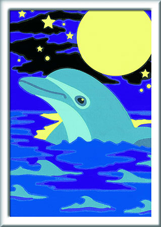 Kleiner Delfin