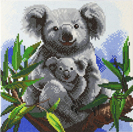 Koalas Koalas