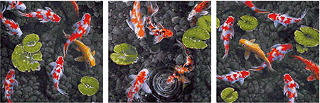 Koi Juwel im Fischteich - Triptychon Koi Juwel im Fischteich - Triptychon