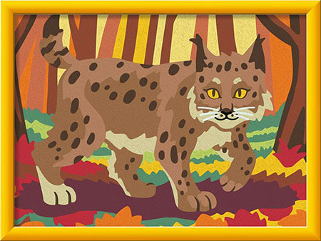 Luchs im Herbstwald Luchs im Herbstwald