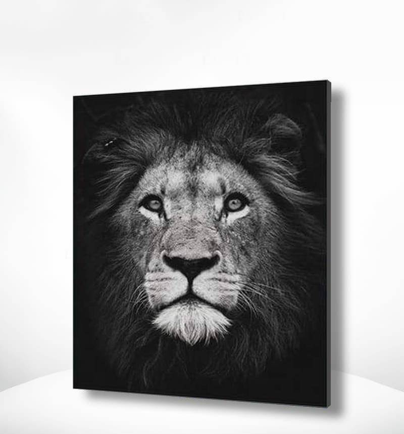 Malen nach Zahlen Schwarz und Weiß Lion Portrait