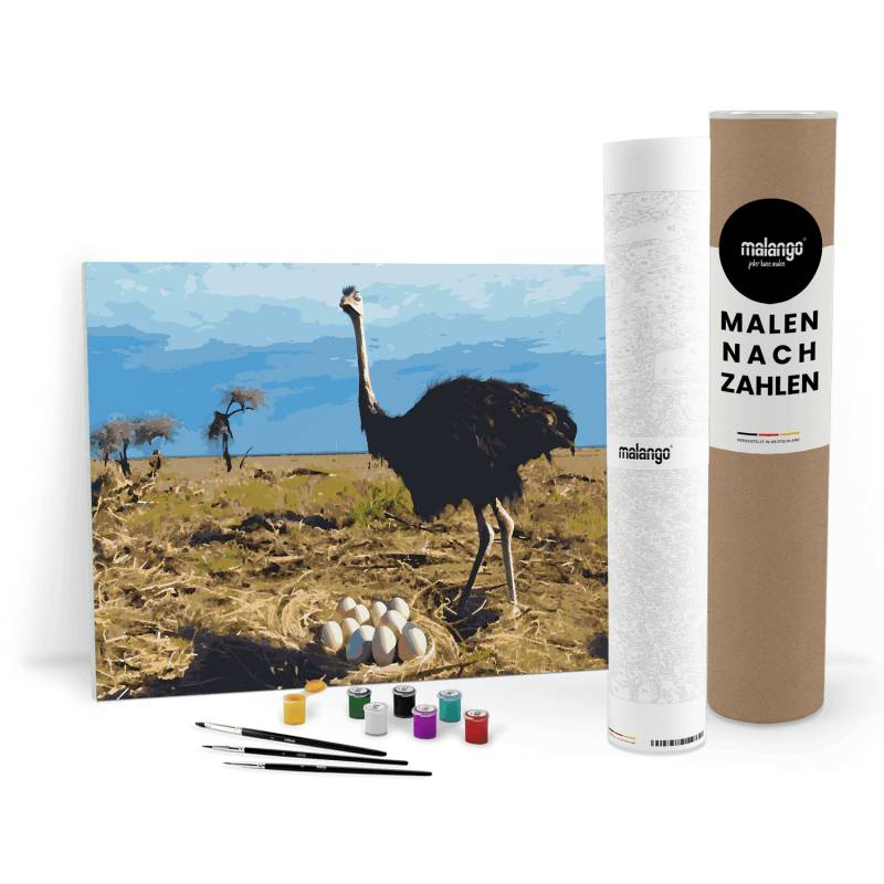 Malen nach Zahlen - Strauss Stefanie Malen nach Zahlen - Strauss Stefanie