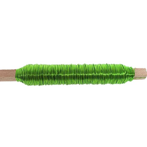 N/A 100g Deko Lackdraht 0,5mm Bindedraht Basteldraht Wickeldraht Draht Dekodraht, Farbe:apfelgrün N/A 100g Deko Lackdraht 0,5mm Bindedraht Basteldraht Wickeldraht Draht Dekodraht, Farbe:apfelgrün