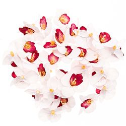Orchideenblüten weiß 28 Stück von idee. Creativmarkt