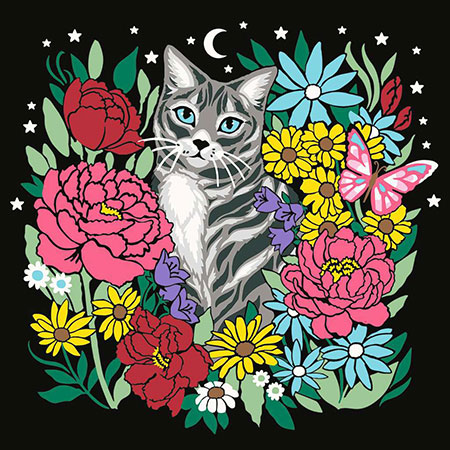 Pixie Cold: Katze