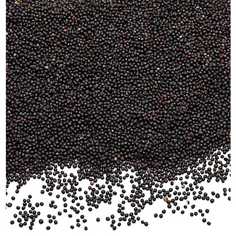 Rapssamen, 1000 g Rapssamen, 1000 g