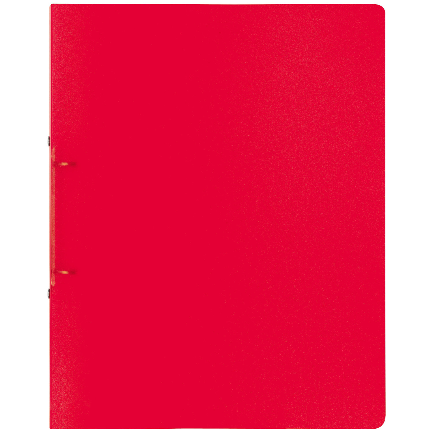 Ringbuch A4 FACT von Brunnen