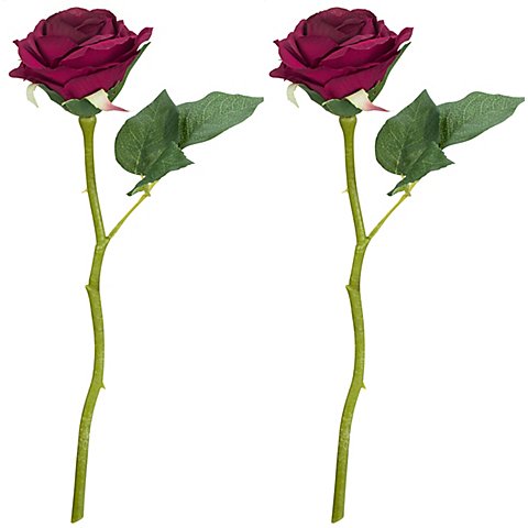 Rosen, dunkelrot, 30 cm, 2 Stück Rosen, dunkelrot, 30 cm, 2 Stück