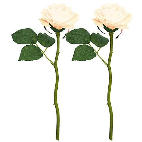 Rosen, weiß, 30 cm, 2 Stück