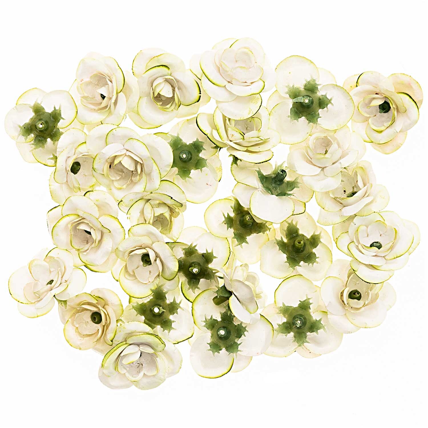 Rosenköpfe weiß-grün 28 Stück Rosenköpfe weiß-grün 28 Stück von idee. Creativmarkt