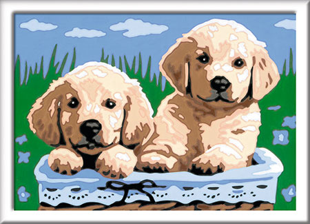 S��e Hundewelpen S��e Hundewelpen