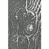 Sizzix 3D-Prägeschablone "Woodgrain by Tim Holtz" Sizzix 3D-Prägeschablone "Woodgrain by Tim Holtz" von Sizzix