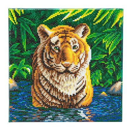 Tiger im Wasser