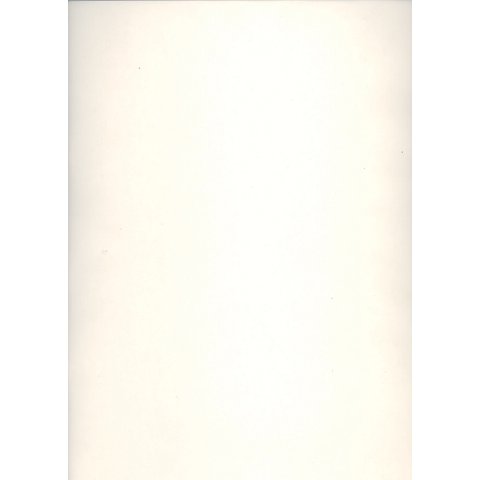 Transparentpapier, weiß, DIN A 4, 10 Blatt von folia (Bringmann)
