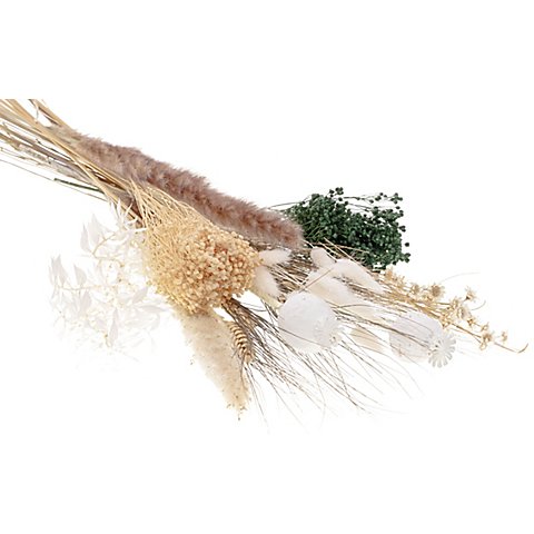 Trockenblumenmix "Boho Look", natur-weiß-grün