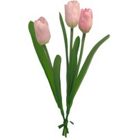 Tulpe Einzelstiel - Rosa von Pink
