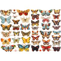 Vintage-Glanzbilder "Schmetterlinge" von Multi