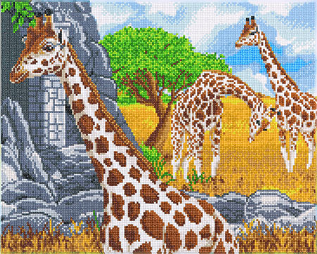 Weidende Giraffen Weidende Giraffen