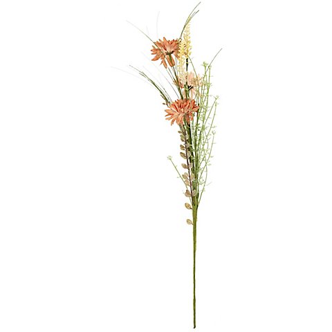 Wiesenblumen Pick, apricot, 70 cm Wiesenblumen Pick, apricot, 70 cm