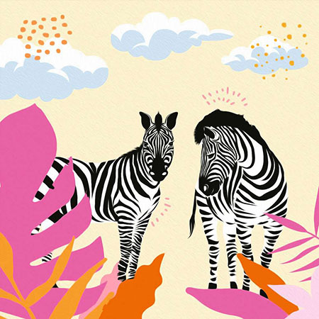 Zebra Zebra