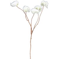 Zweig "Dandelon Dary", Grün-Weiß von Weiß