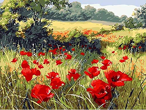 Bluehurric kreuzstich set Vorgedruckt erwachsene anfanger Rote Mohnblumen Stickpackungen Kreuzstich DIY Starter Stickbild Handwerk 11CT Geschenk Heimdekoration(16×20inch von Bluehurric