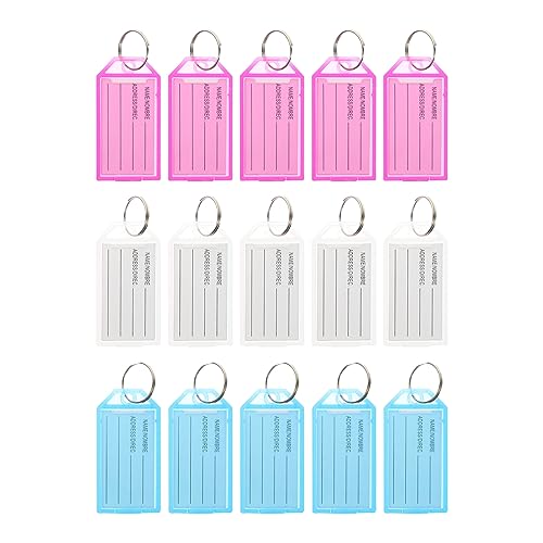 DIYEAH 1 Satz Typenschild Schlüsselkette Farbige Etiketten Identifikationsschlüsselbund Auto Schlüsselanhänger Lanyards Leere Etiketten Schlüsselbund Schlüsselclip Pp-material 30 Stück von DIYEAH